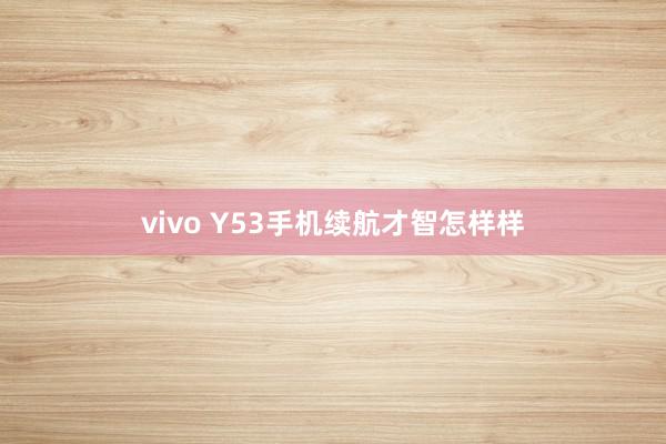 vivo Y53手机续航才智怎样样