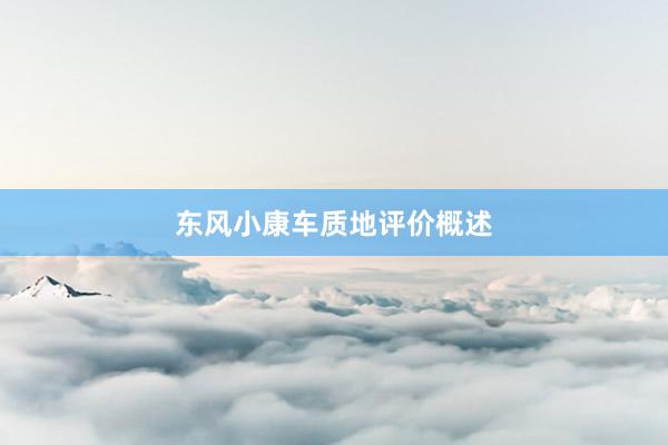 东风小康车质地评价概述