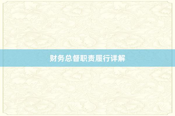财务总督职责履行详解