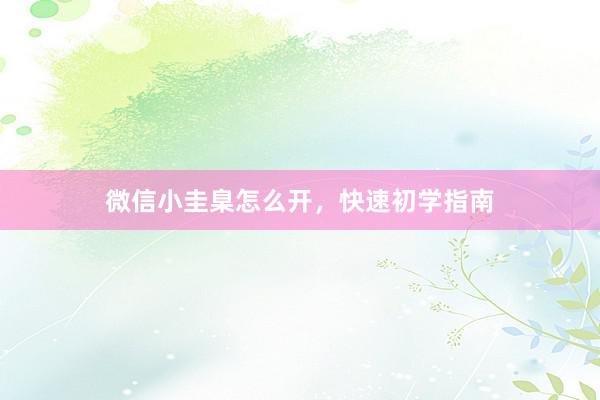 微信小圭臬怎么开，快速初学指南
