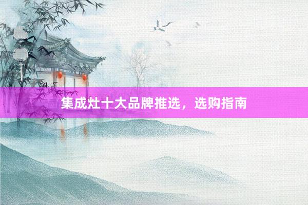 集成灶十大品牌推选，选购指南